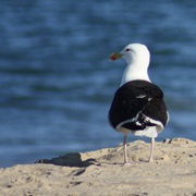 Block Island, RI, USA