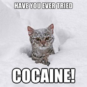 Try Cocaine