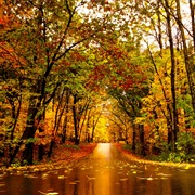 Lake Maria State Park, Minnesota