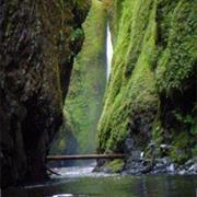 Oneonta Gorge
