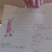 Wild Madness