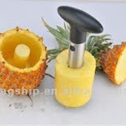 Pineapple Corer