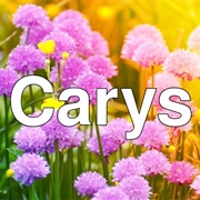 Carys