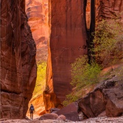 Paria Canyon - United States