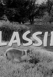 Lassie