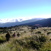 Rangiwahia Hut, Ruahine Forest Park