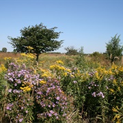James "Pate" Philip State Park, Illinois