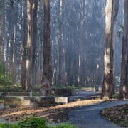 Bay Area Ridge Trail