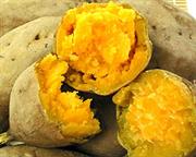 Sweet Potato (烤地瓜)