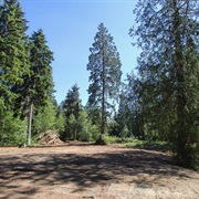 Chain Lake, Washington