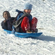 Sledding With Friends