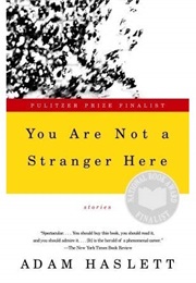 You Are Not a Stranger Here (Adam Haslett)