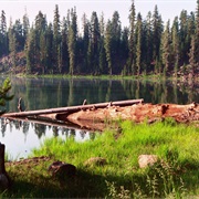 Lassen National Forest