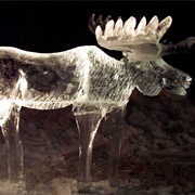 Ice Moose