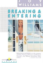 Breaking and Entering, Joy Williams