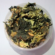 Black Stone Flower (Parmotrema Perlatum)