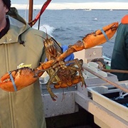 Lobster Fishing in PEI