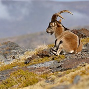 Sierra Nevada National Park, Spain