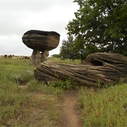 Mushroom Rocks