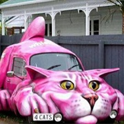 Cat Car