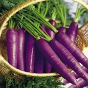 Purple Carrots