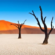 Namib-Naukluft National Park, Nambia