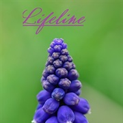 "Lifeline"