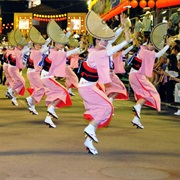 Attend Awa-Odori in Tokushima