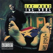 My Summer Vacation - Ice Cube
