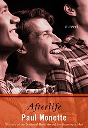 Afterlife (Paul Monette)