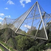 Regent's Park Aviary