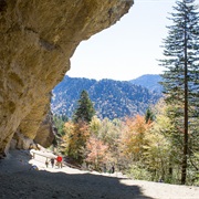 Hike the Alum Cave Trail Up Mount Le Conte, Sevierville, Tennessee