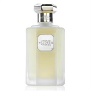 Teint De Neige Lorenzo Villoresi