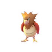 #21 Spearow