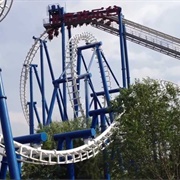 Golden Wings in Snowfield (Happy Valley)