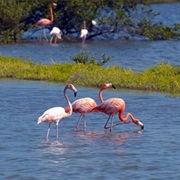 North Caicos (Turks and Caicos Islands, UK)