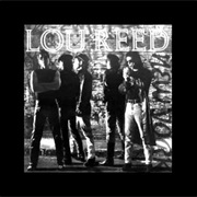 Good Evening Mr. Waldheim - Lou Reed