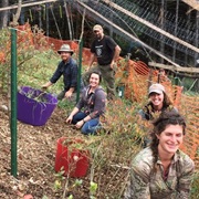 Earthwise Farm and Forest, Vermont