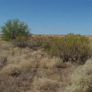 Hohokam Pima National Monument