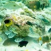 Seychelles, East Africa