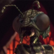 Xindi Insectoid