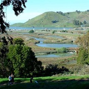Don Edwards San Francisco Bay National Wildlife Refuge