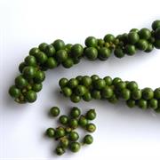 Fresh Green Peppercorn