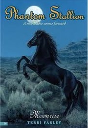 Moonrise (Terri Farley)