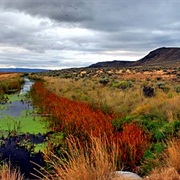 Malheur National Wildlife Refuge