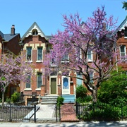Cabbagetown Toronto