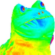 Get Out Frog / Frogout / Me Obrigue