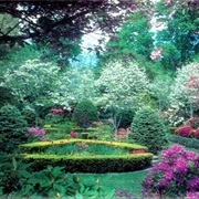 Garden in the Woods