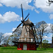 The Windmill
