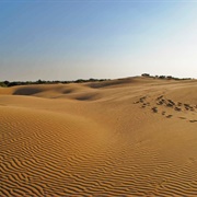 Oleshky Sands National Park, Ukraine